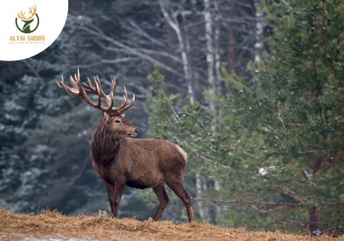 Không bỏ qua 6 biểu hiện suy nhược cơ thể nguy hiểm sau