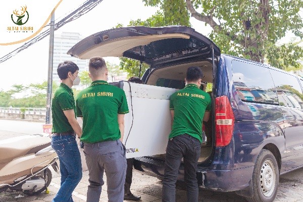 altai sibiri chuẩn bị đến bắc giang