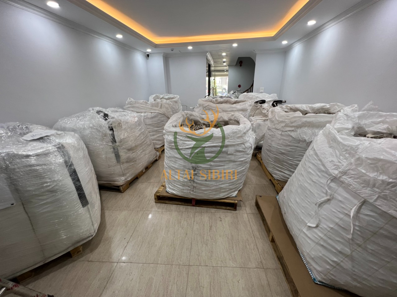 Sừng Hươu Cắt Khúc 